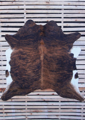 Brindle with White Cowhide